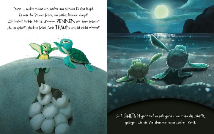 Produktbild Geh deinen Weg, Schildkröte (Deutsch, Jim Field, Pia Jüngert, Rachel Bright)