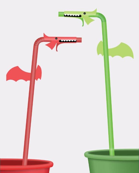 Actual product image Nanoku Dragon (20x)