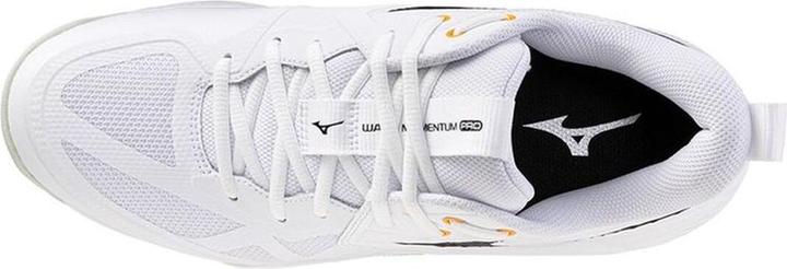 Actual product image Mizuno Wave Momentum Pro (43)