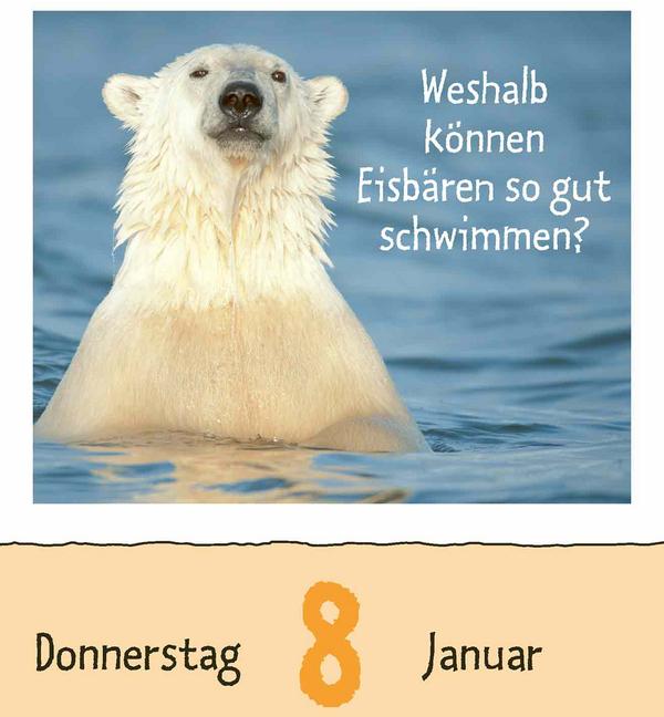 Produktbild Wie faul ist das Faultier? 2026 (12 x 16 cm)