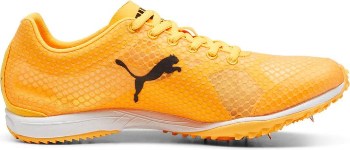 Produktbild Puma evoSPEED Haraka 8 Unisex (46)