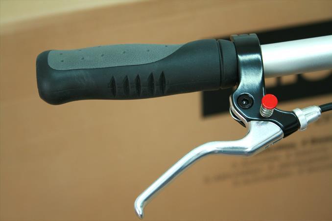 Actual product image Thule Chariot CX 2