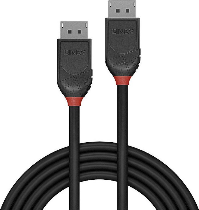 Actual product image Lindy DisplayPort — DisplayPort (1 m, DisplayPort)