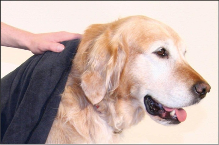 Immagine prodotto Swisspet Panno in microfibra (Cane)
