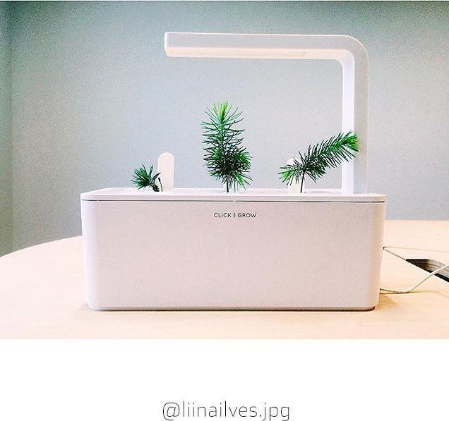 Productafbeelding Click and Grow Experimentele kit (Zaadbommen)