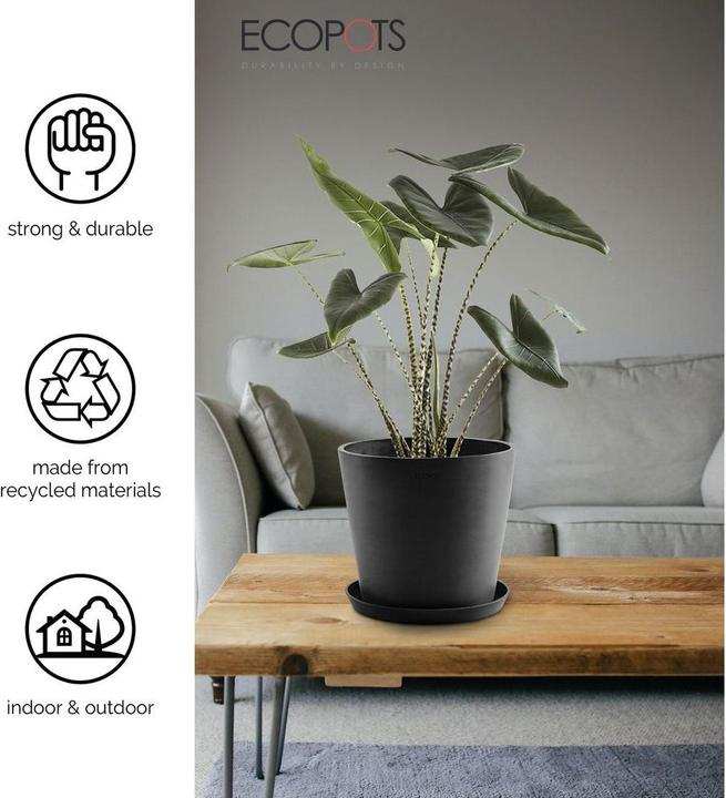 Actual product image Ecopots Saucer Round