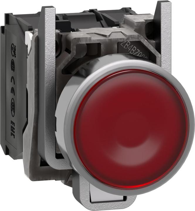 Actual product image Schneider Electric Pushbutton XB4BW34G5