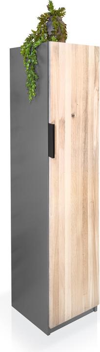 Actual product image Möbel-Eins Office (40 x 40 x 159.80 cm)