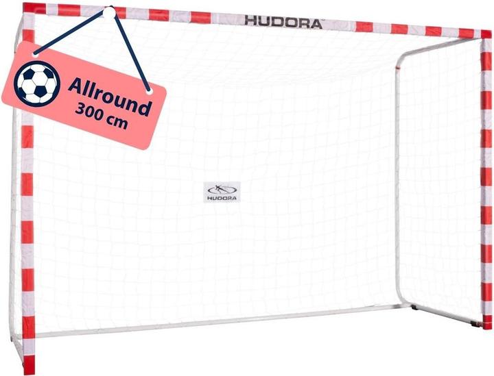 Image du produit Hudora Porte Allround 300