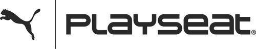 Actual product image Playseat F1