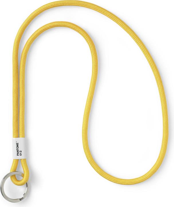 Pantone Schlüsselanhänger