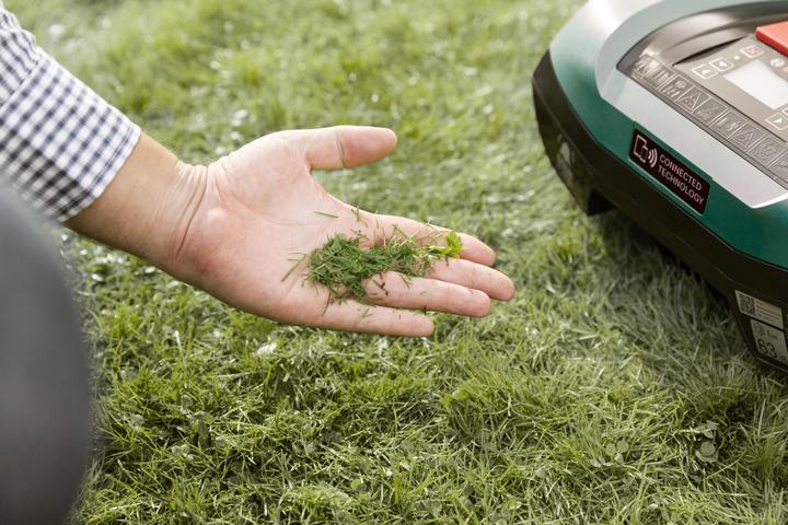 Immagine prodotto Bosch Home & Garden Taglierina (Robot falciante, Lame per tosaerba + lame di ricambio per macchine da giardino)