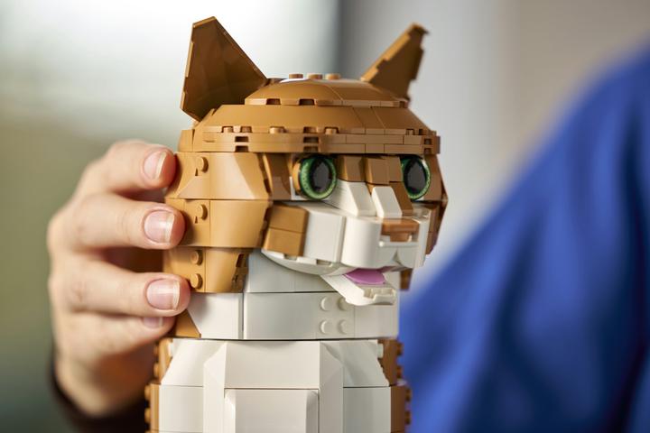 Image du produit LEGO Orange Cat (21376, LEGO Ideas)