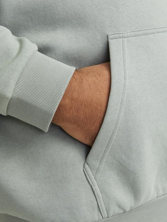 Produktbild Jack & Jones Jjebradley Sweat Hood Noos Pls (4XL)