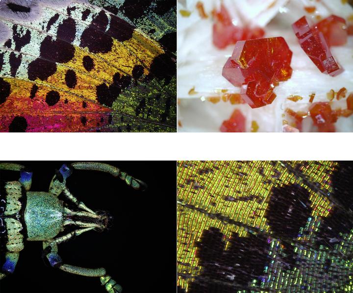 Actual product image Bresser USB Digital Microscope