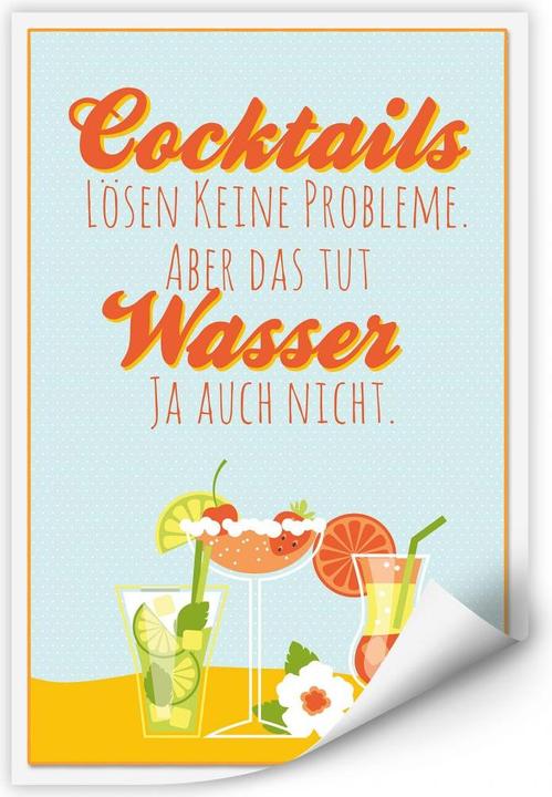 Image du produit Trenddeko Les cocktails ne résolvent pas les problèmes... (30 x 45 cm)
