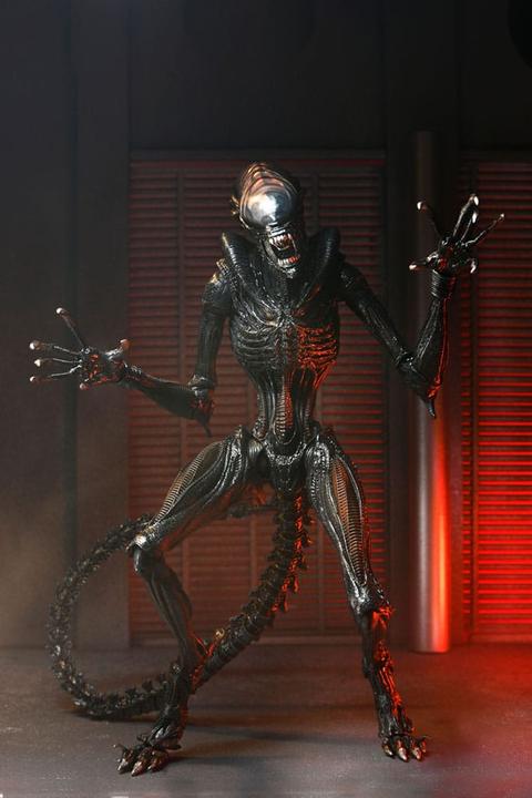 Actual product image Neca Alien: Romulus Ultimate Scorched Xenomorph