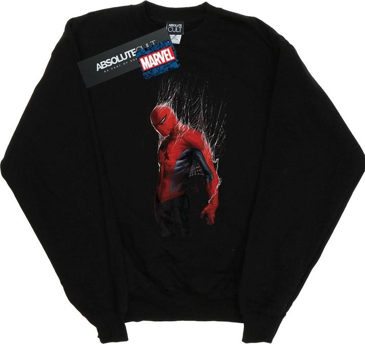 Actual product image Womens/Ladies Spider-Man Web Wrap Sweatshirt (XL)