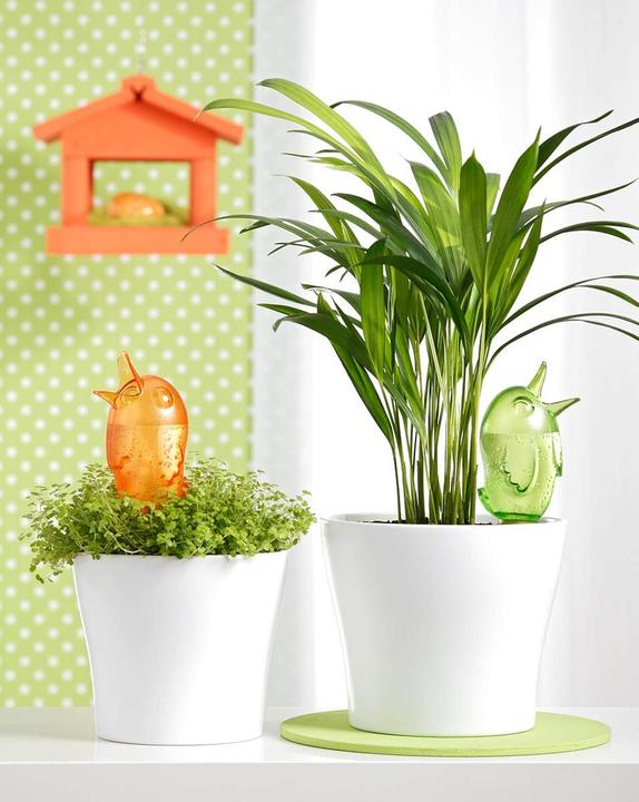 Actual product image Scheurich 4er-Set Bewässerungskugel 220ml GrünWasserspender Bördy M (Grün) Wasserspeicher (Irrigation balls)