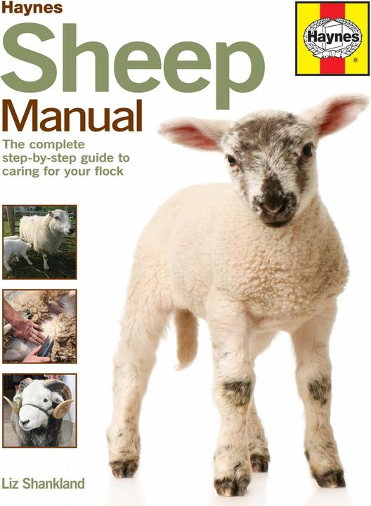 Produktbild Sheep Manual (Englisch, Liz Shankland, 2015)
