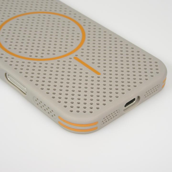 Immagine prodotto PhoneLook Hülle MagSafe-kompatibles, robustes -Gitter (Apple iPhone 17 Pro)