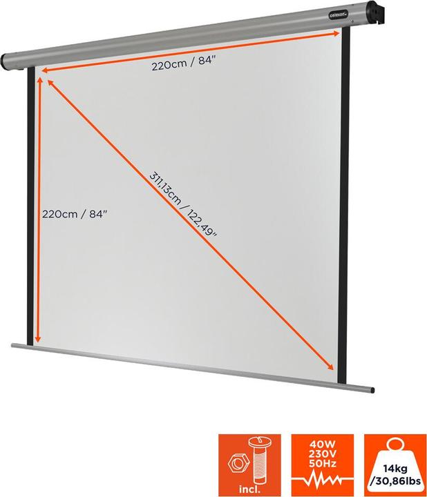 Immagine prodotto Celexon Cinema per camper, schermo, 1:1 (118.90", 1:1)