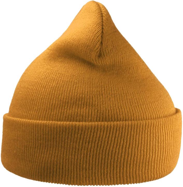 Actual product image Unisex Adult Wind Recycled Cuffed Beanie