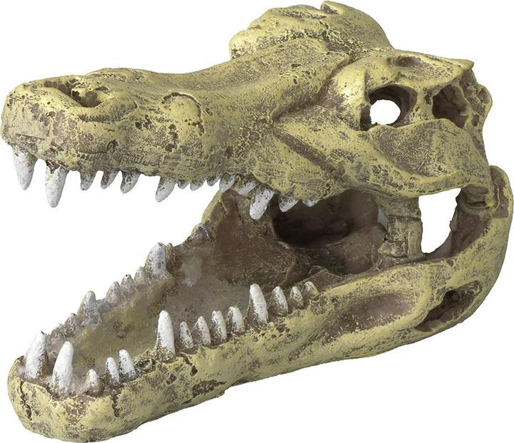 Actual product image EBI Aqua Della Crocodile Head L (Embellishment, other items)