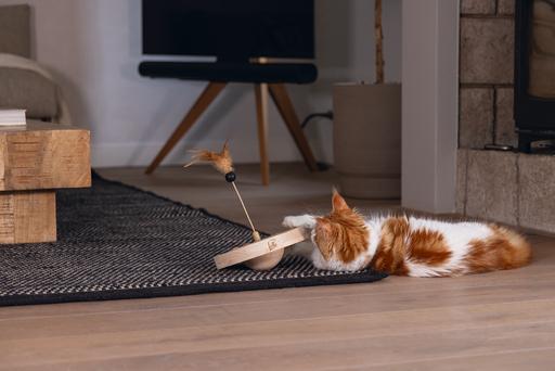 Image du produit Designed by Lotte Winni