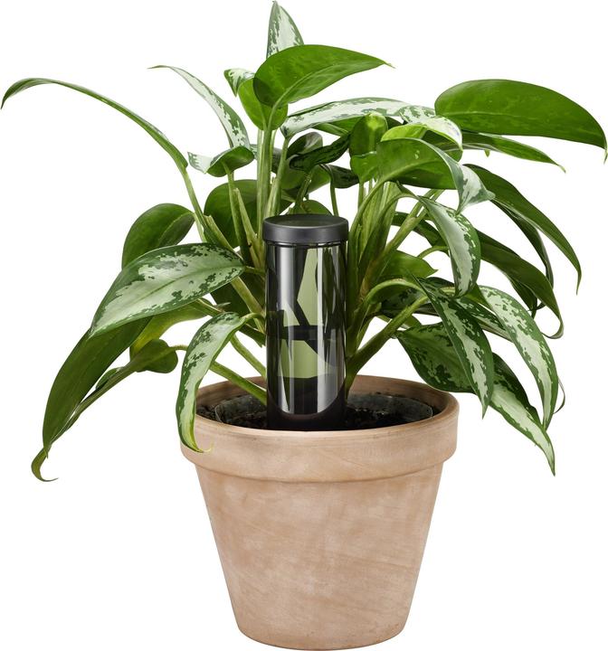 Produktbild Fiskars 1075380 Wasserspender, 350 ml 1 St.