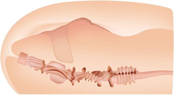 Produktbild Zero Sasha Grey