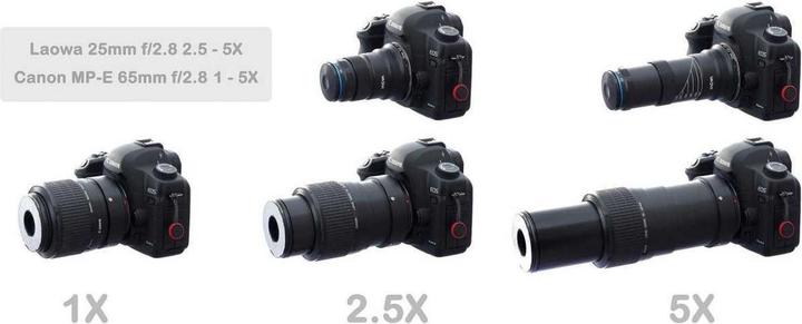 Actual product image Venus Optic Laowa 25mm f/2.8 2.5-5x UltraMacro Canon RF (Canon RF, full size)