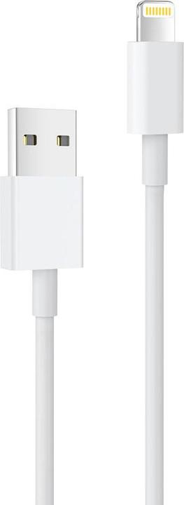 Produktbild Toshiba Kabel OEM Kabel USB A zu Lightning C602 2 m weiss (2 m, USB 2.0)