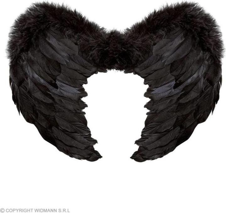 Actual product image Widmann Angel wings