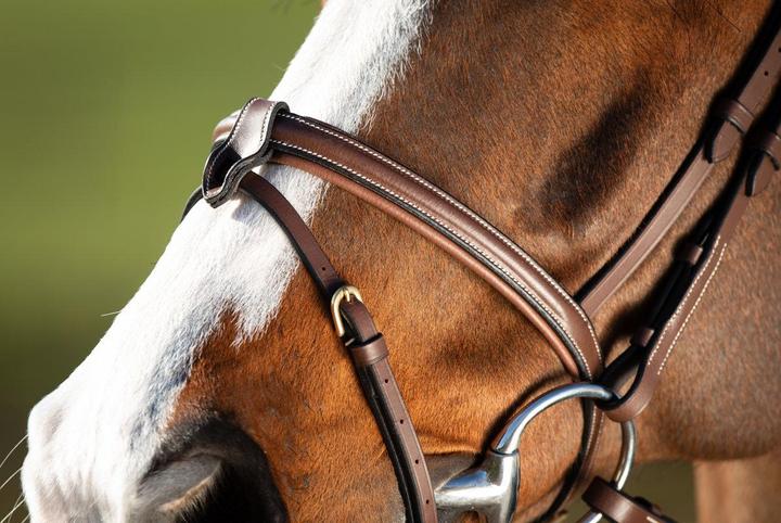 Immagine prodotto HFI Master Anatomic