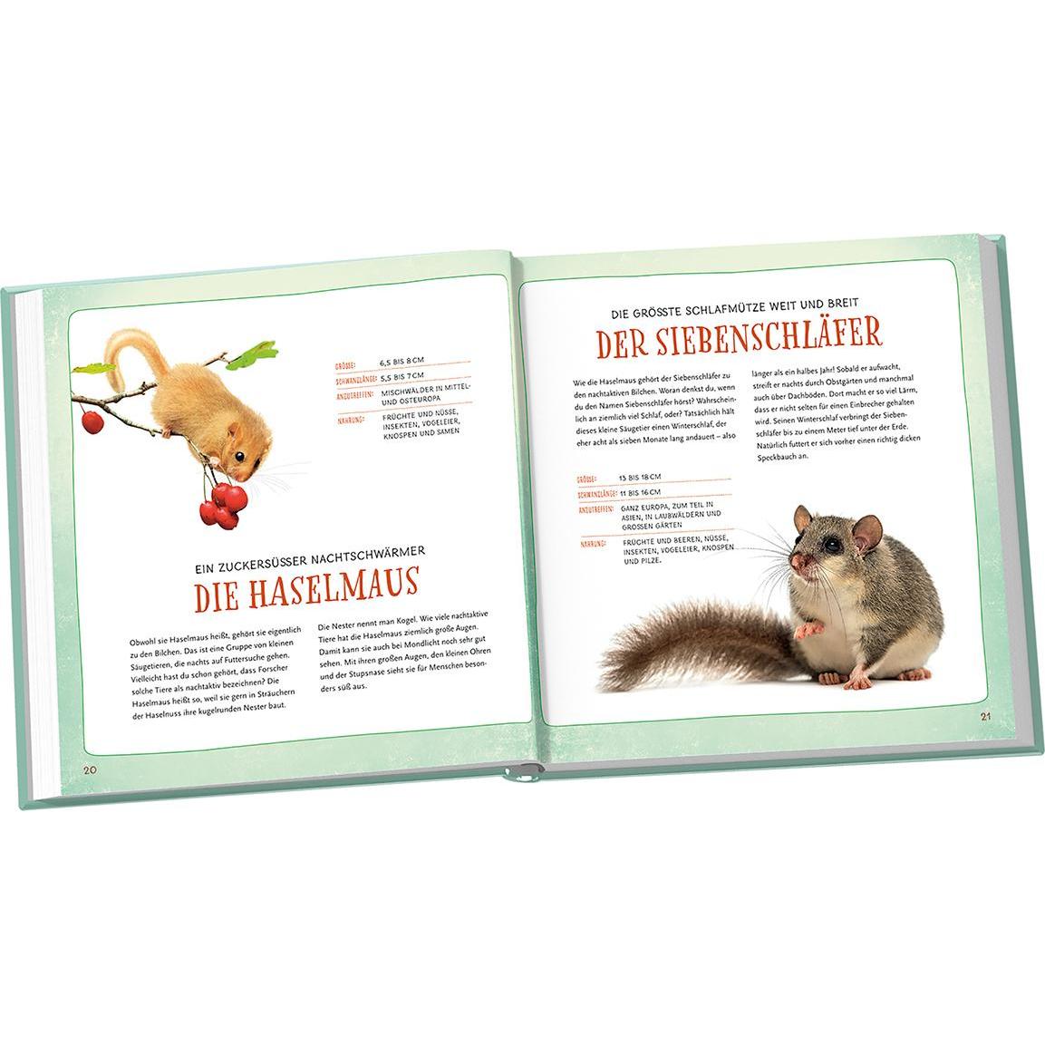 Thumbnail - Ganz schön gross oder klitzeklein?, Kinderbücher von Jens Poschadel