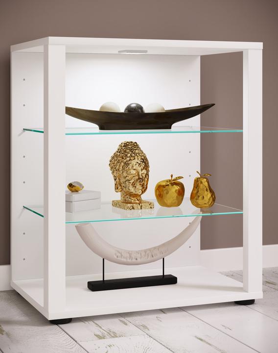 Produktbild VCM Holz Glas Vitrine Sammelvitrine Glasvitrine Schaukasten Standvitrine Glasol S (52 x 35 x 60 cm)