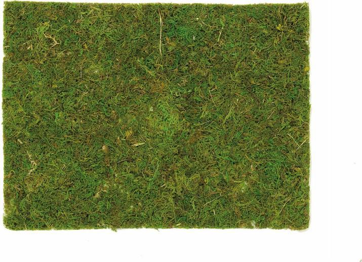 Glorex Moss plate 30x20cm