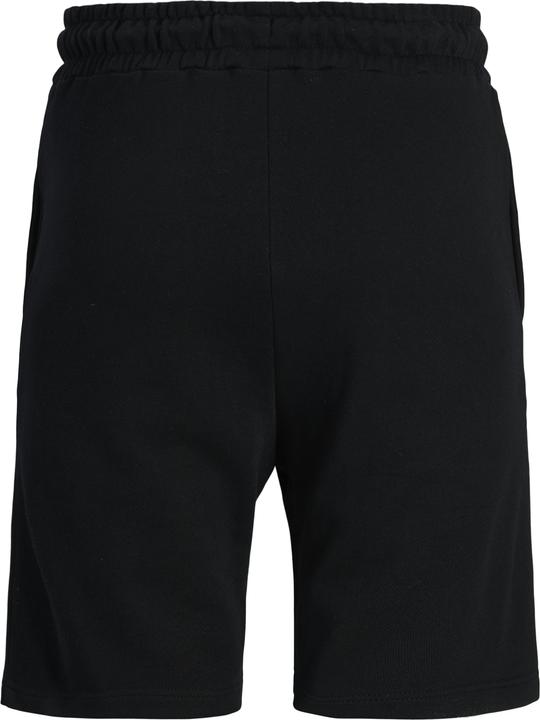 Produktbild Jack & Jones Plus Size Regular Fit Regular Fit Shorts Regular Fit Shorts (40)