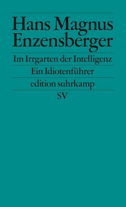 Produktbild Im Irrgarten der Intelligenz (Deutsch, Hans Magnus Enzensberger, 2007)
