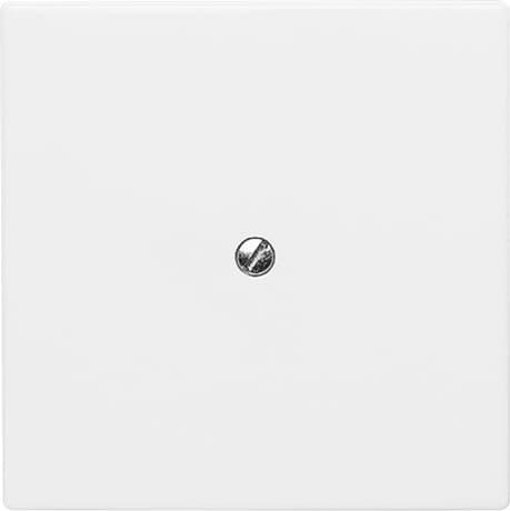 Actual product image Busch-Jaeger Blind central disc