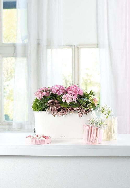 Produktbild Lechuza Delta (40 x 15 x 18 cm)