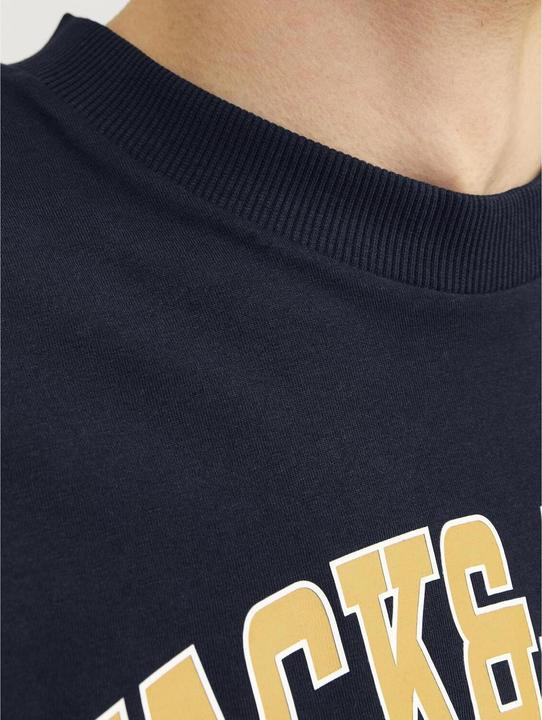 Produktbild Jack & Jones Jjecaleb Varsity Tee Ss O-Neck Noos (M)