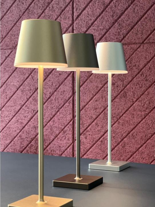 Image du produit XOXO Design Lampe de table rechargeable X2, 3W, 3000K, 38 cm, Champagne (285 lm)