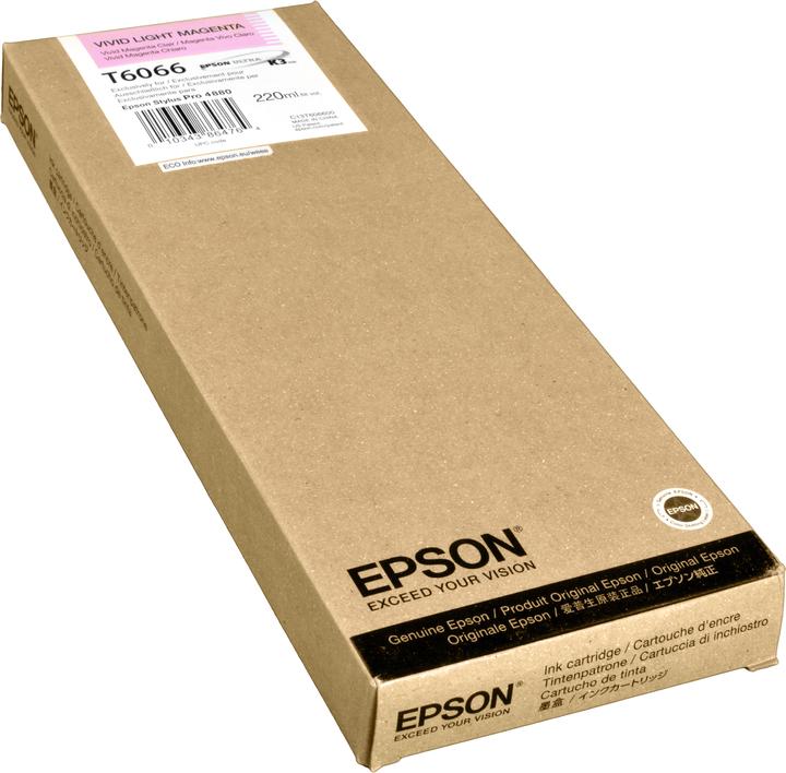 Actual product image Epson T6066 (LM)