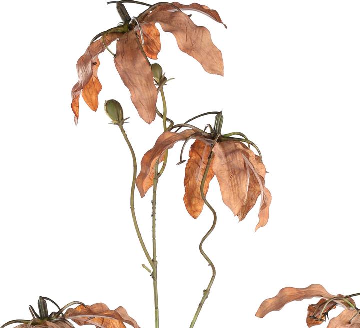 Immagine prodotto EGLO Semporna (920 cm)