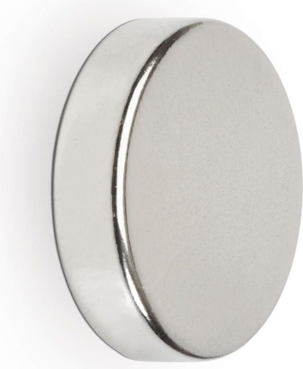 Actual product image Maul Neodymium disc magnet, 20 mm, adhesive force: 6.2 kg, silver (4 x)