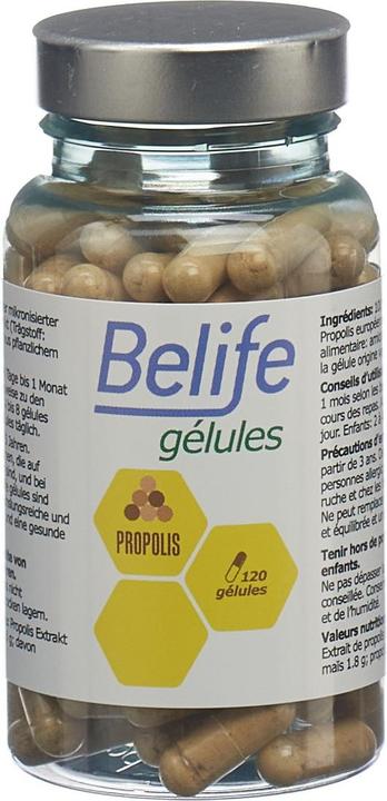 Produktbild Beelife Propolis Gélules (120 Stück, Kapseln, 68 g)