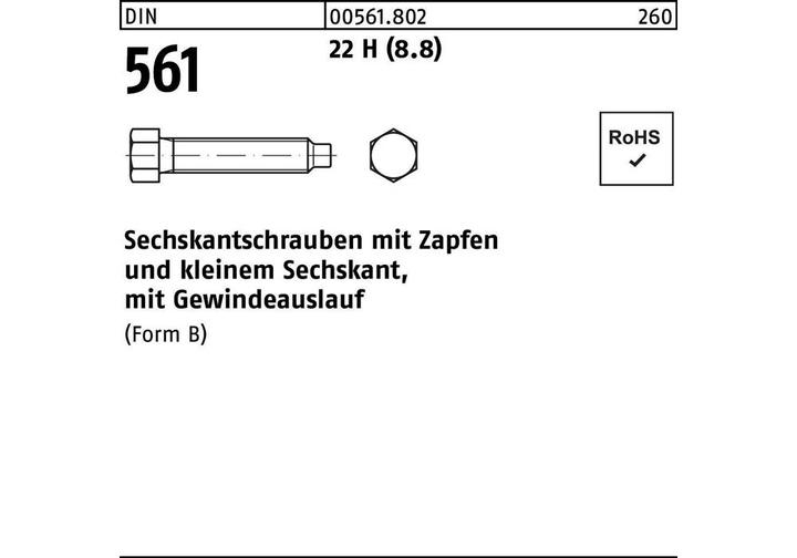 Actual product image Hexagon screw DIN 561 m.Zapfen x35mm (100 Screws per piece)