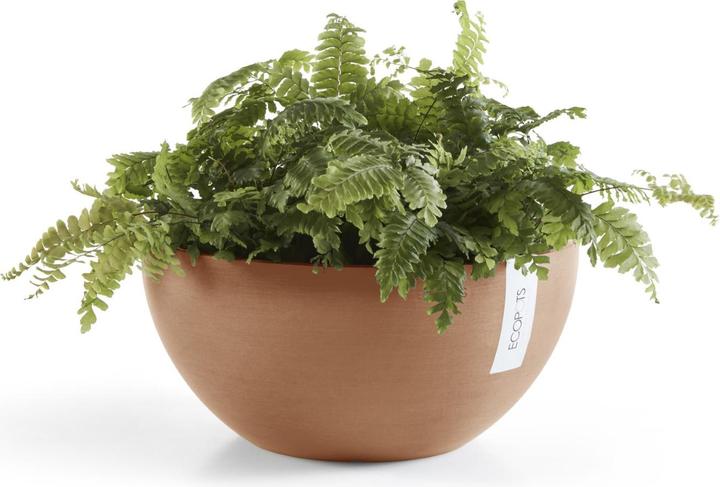 Actual product image Ecopots Brussels